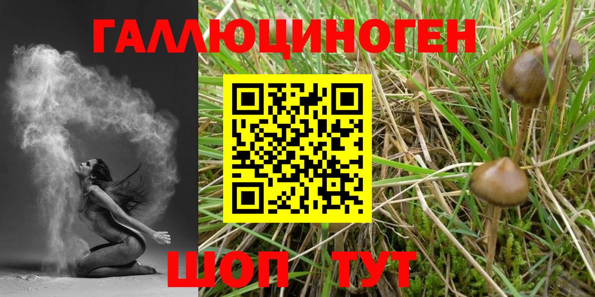 Джанкой  Псилоцибиновые грибы мухоморы  Вход с VPN 