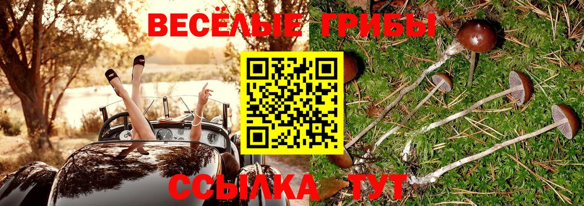 Псилоцибиновые грибы Psilocybine cubensis Джанкой